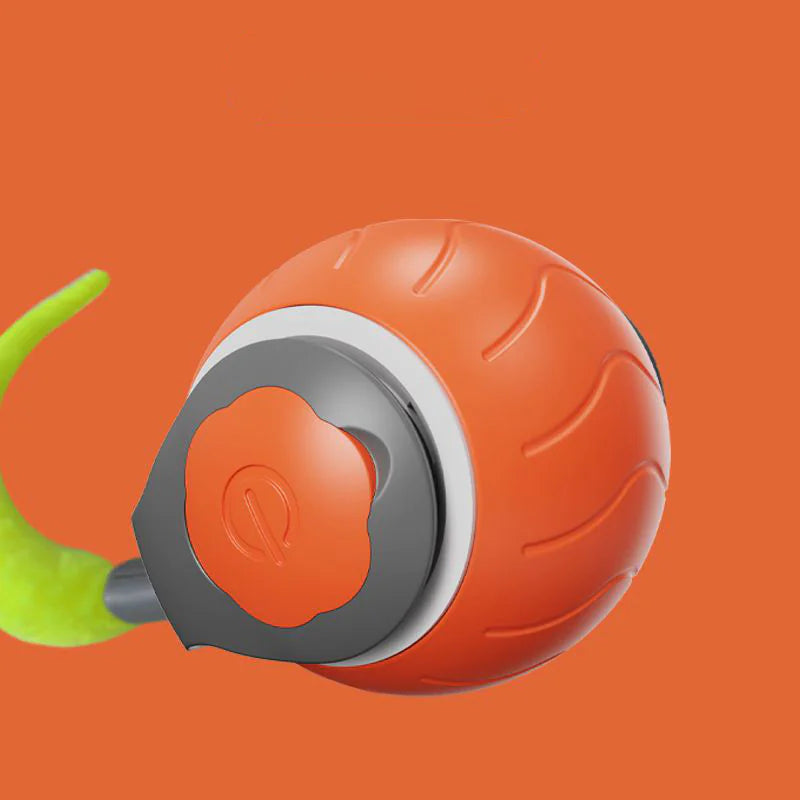 SmartPaw Motion Ball